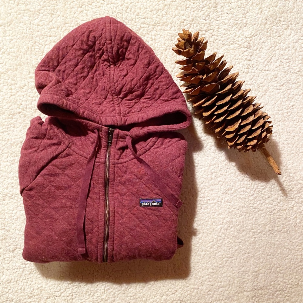 Patagonia Organic Cotton Quilt Hoodie Zip - Picture 1 of 7